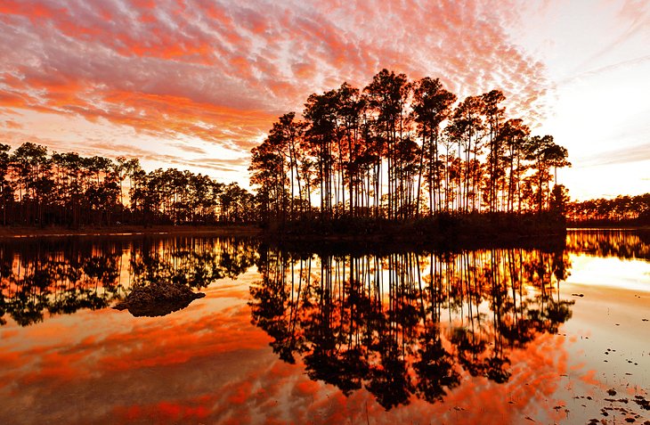 Sunset over Long Pine Key Lake, Everglades National Park