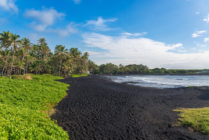 Punalu'u Black Sand Beach