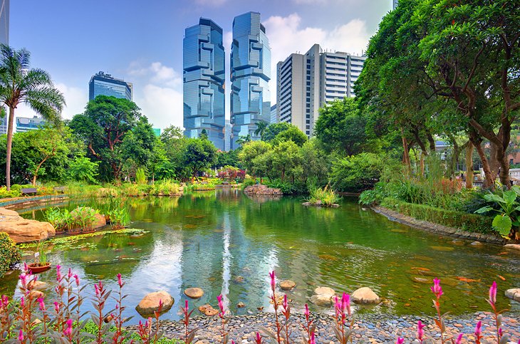 Pond in Hong Kong Park