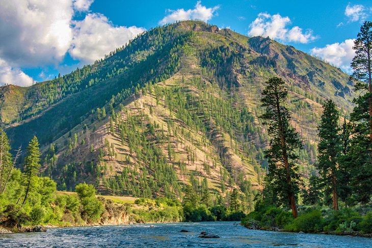 Middle Fork of the Salmon River