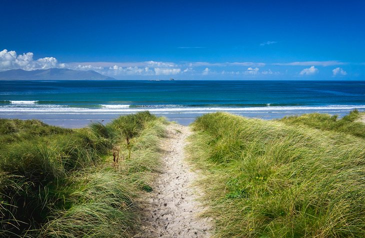 Path through the dunes at Banna Strand