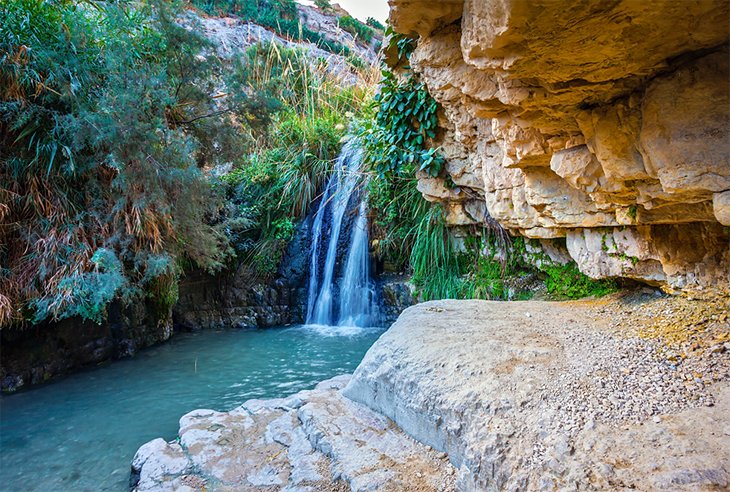 Waterfall at Ein Gedi Nature Reserve