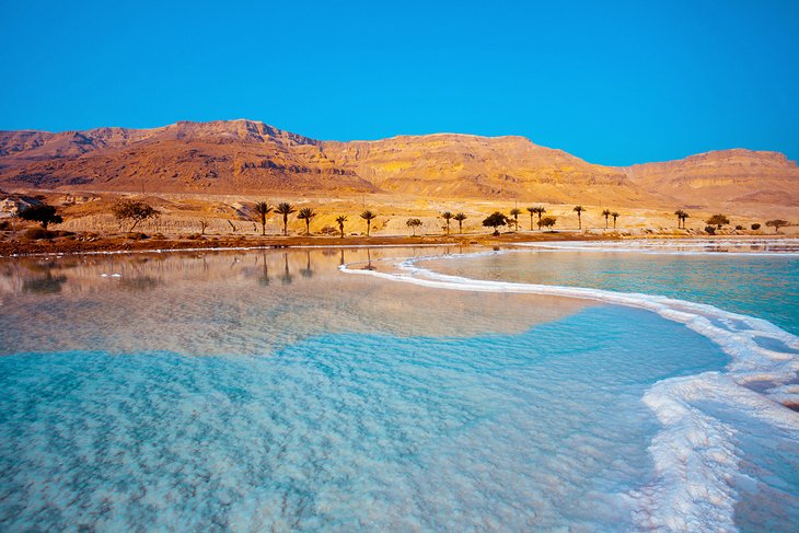 The Dead Sea