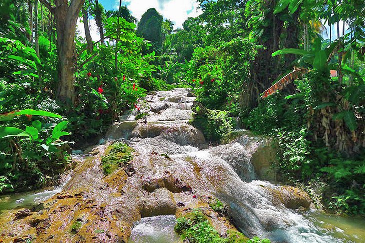 12 mejores cascadas en Jamaica