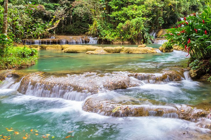 12 mejores cascadas en Jamaica