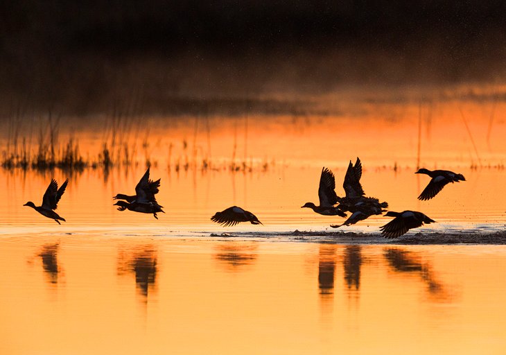 Quivira National Wildlife Refuge