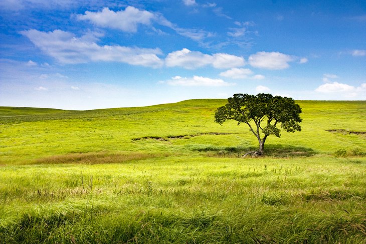 Tallgrass Prairie National Preserve