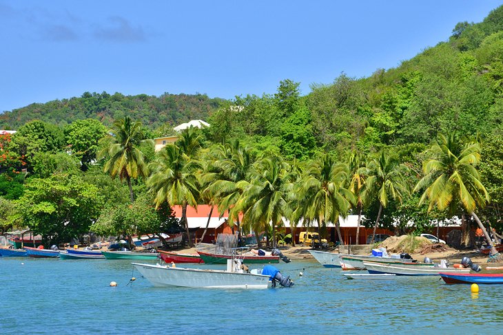 Tartane, Martinique