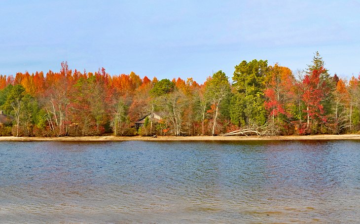 Fall colors along Atsion Lake