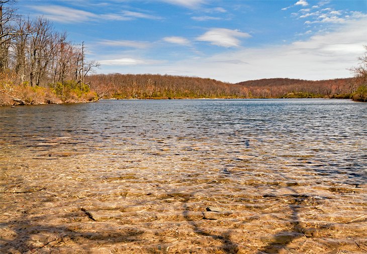 Sunfish Pond