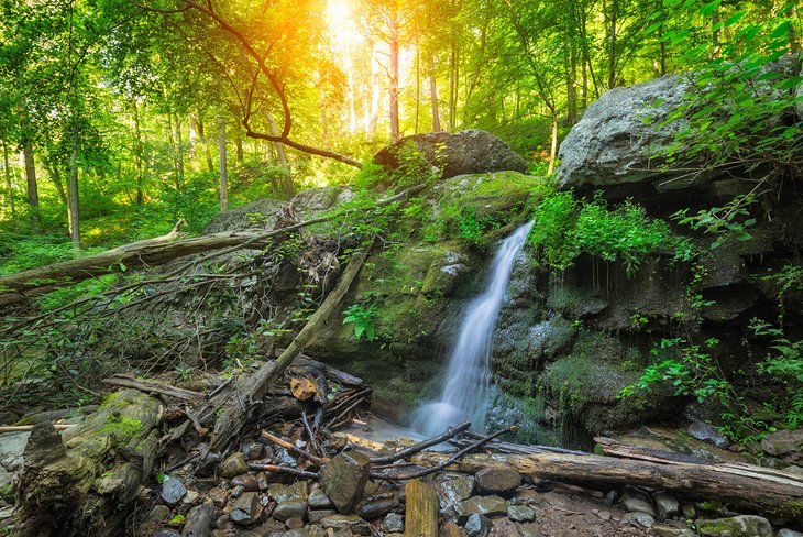 Dunnfield Creek Falls