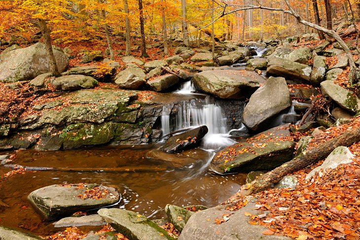 Hacklebarney State Park Waterfall with autumn leaves