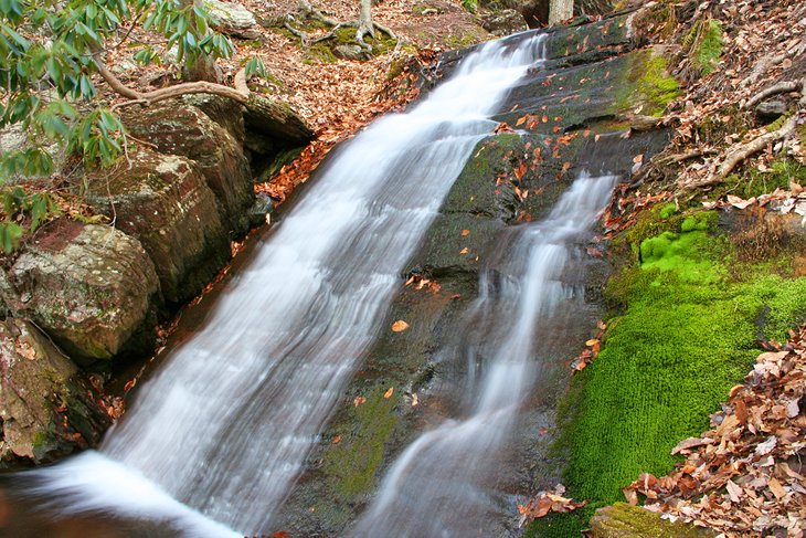 Worthington State Forest Waterfall/Laurel Falls