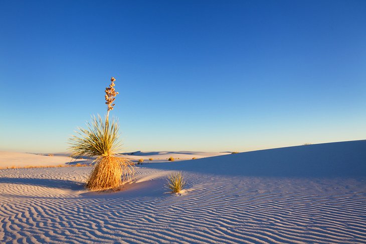 White Sands National Monument