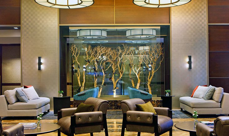 Source de la photo : Kimpton Muse Hotel