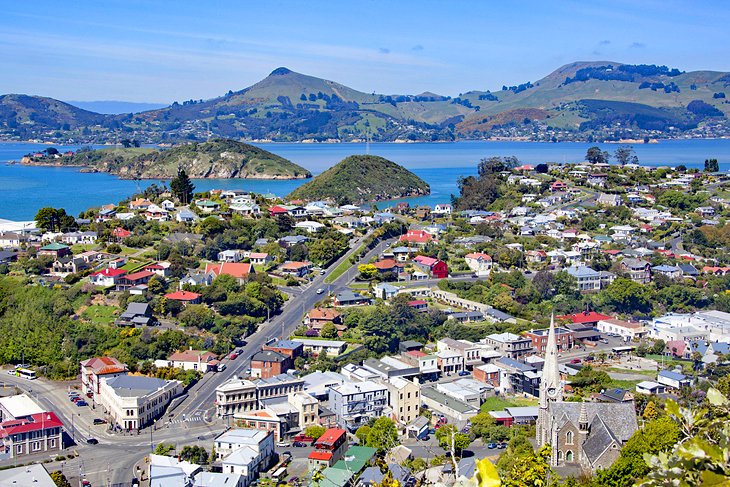 dunedin new zealand tourist attractions