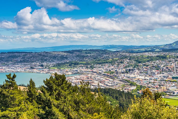 View of Dunedin from Signal Hill