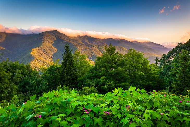 View from Mt. Mitchell