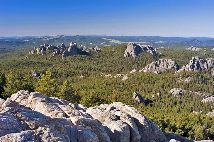 Black Hills from Black Elk Peak