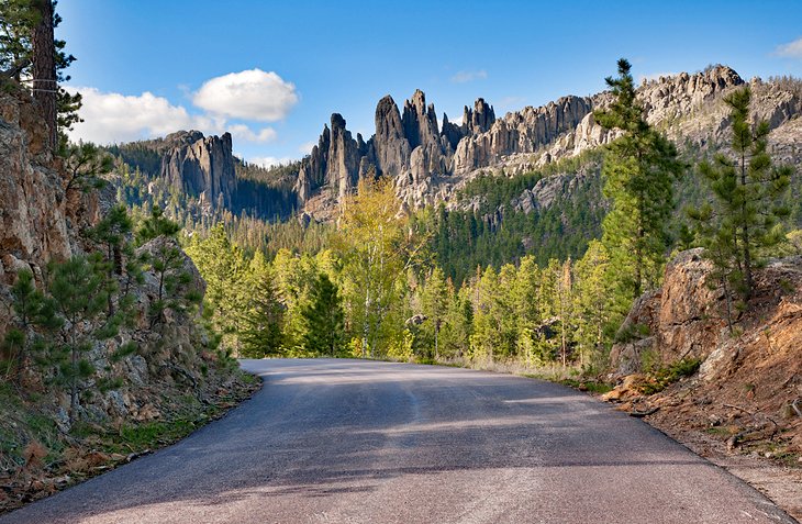 Needles Highway