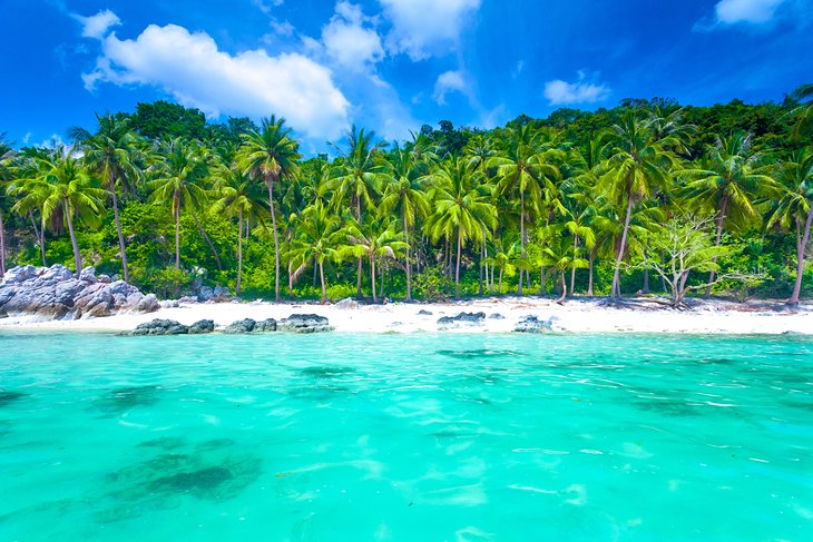 Palm lined beach in Koh Samui