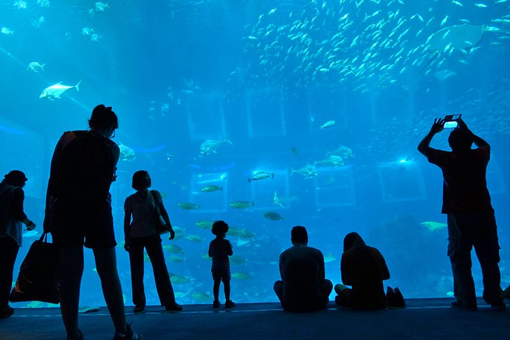 Dubai Aquarium