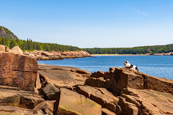 Acadia National Park