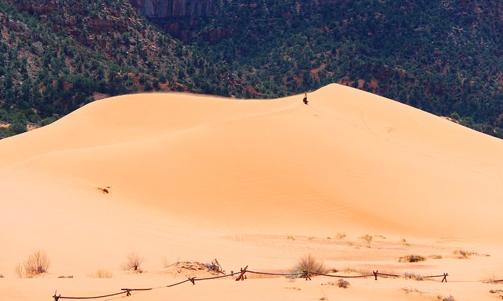 Coral Pink Sand Dunes