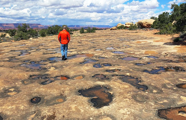 Potholes after rain in Canyonlands, Needles Division