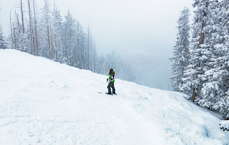 Author Lana Law on a run at Arizona Snowbowl