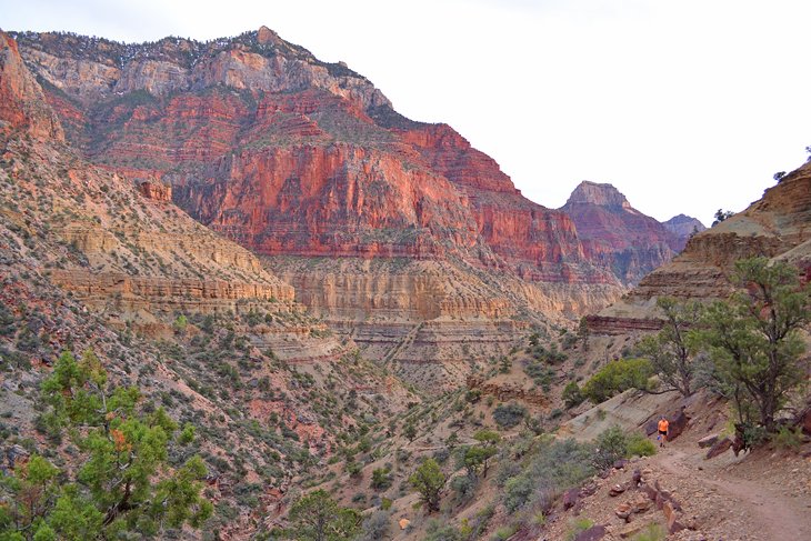 Mejor época para visitar el Gran Cañón, AZ