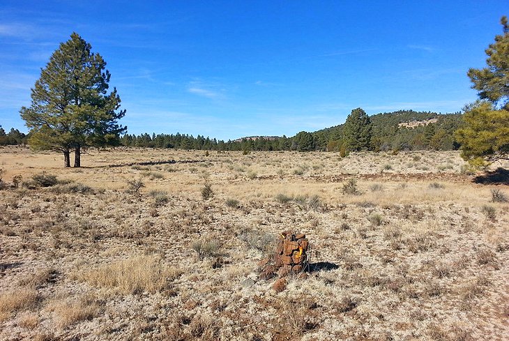 Beale Wagon Road Historic Trail