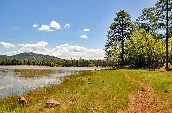 Dogtown Lake Trail