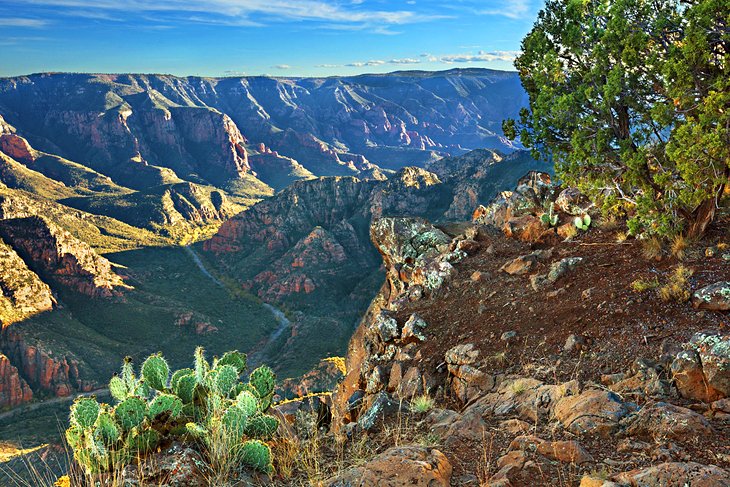 Sycamore Canyon in Williams