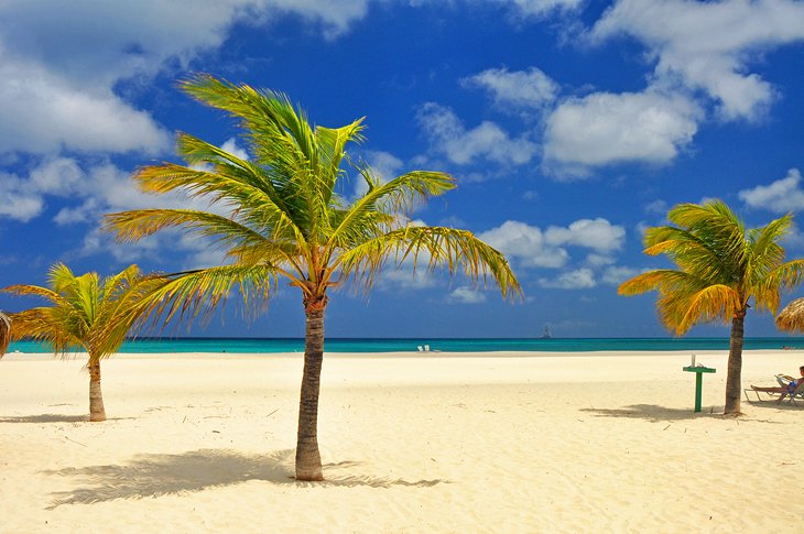 Palms on Manchebo Beach