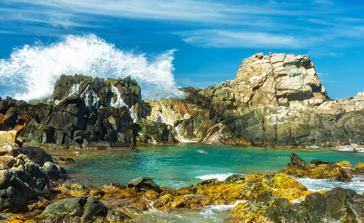 Natural Pool