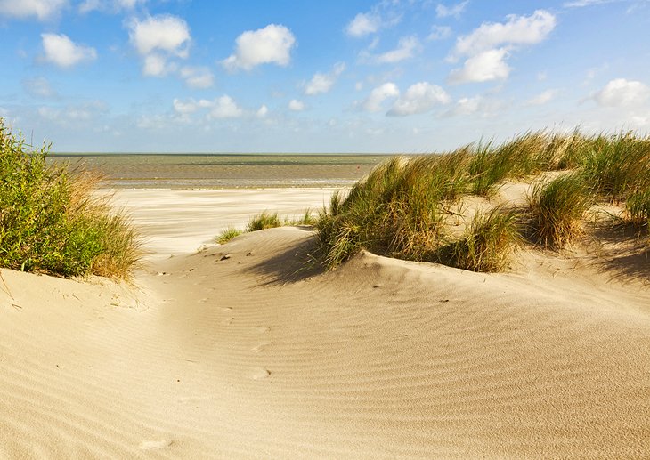 Beach and dunes at Knokke-Heist