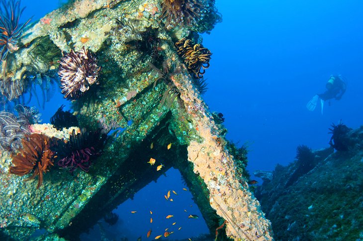 Wreck diving in Bermuda