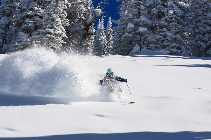 Skier at Jackson Hole