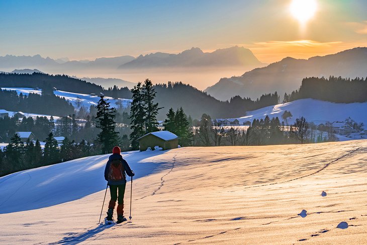 Snowshoer in the Bregenzerwald, Austria