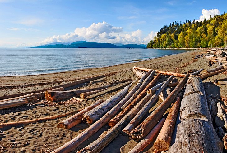 Driftwood on the beach at Point Grey