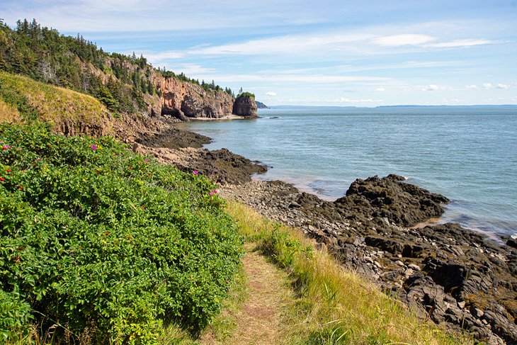 Trail in Cape Chignecto Provincial Park