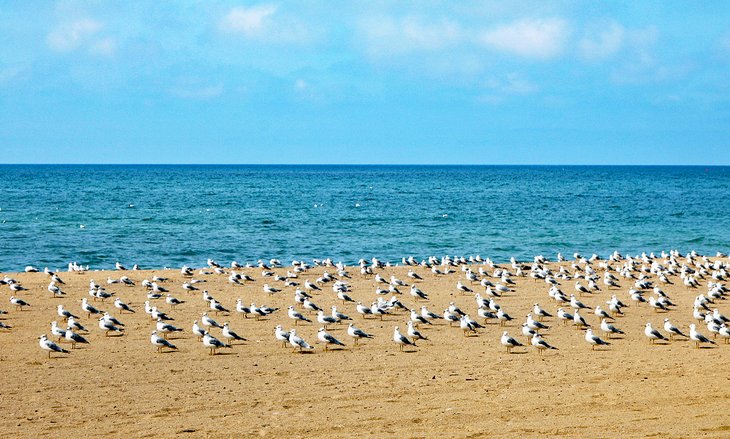 15 mejores playas en Ontario 15 mejores playas en Ontario