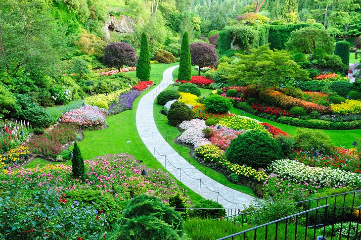 Butchart Gardens in the spring