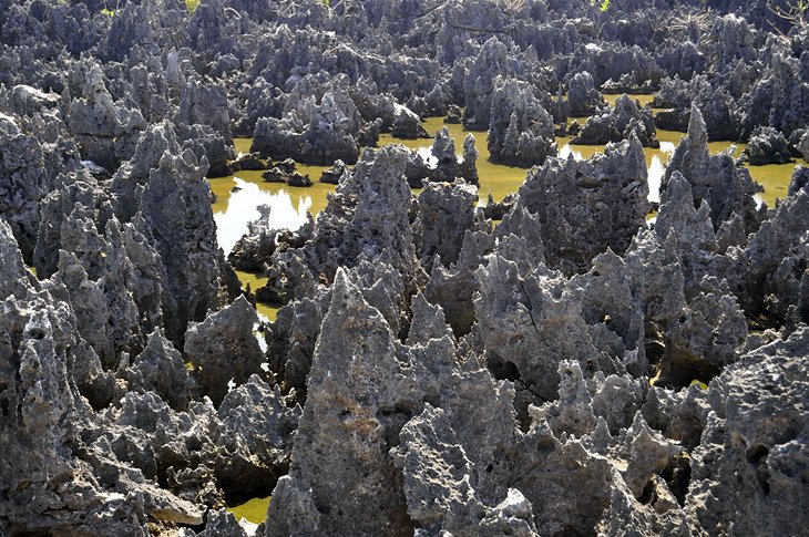 Islas Caimán en imágenes: 15 hermosos lugares para fotografiar