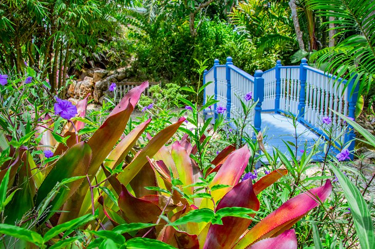 Islas Caimán en imágenes: 15 hermosos lugares para fotografiar