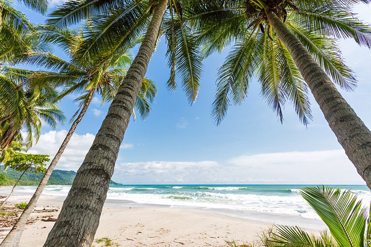 Santa Teresa Beach