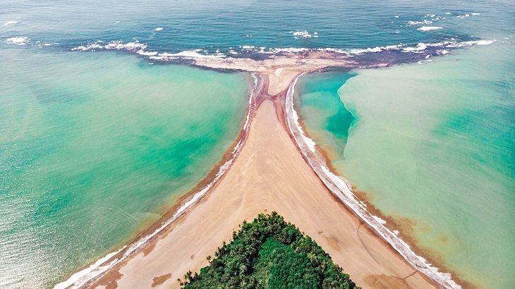 Whale Tail Beach