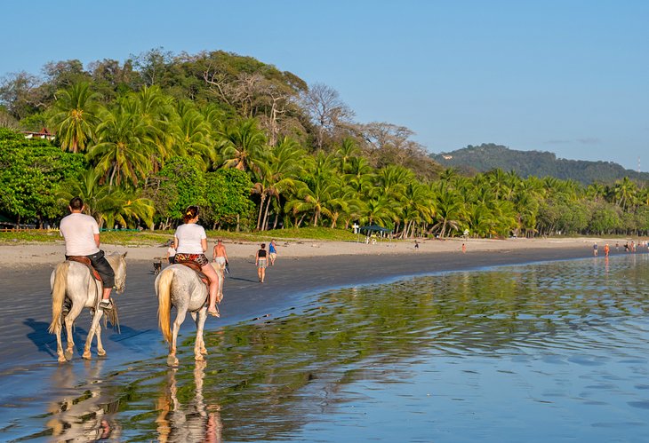 Horseback riding on Samara Beach