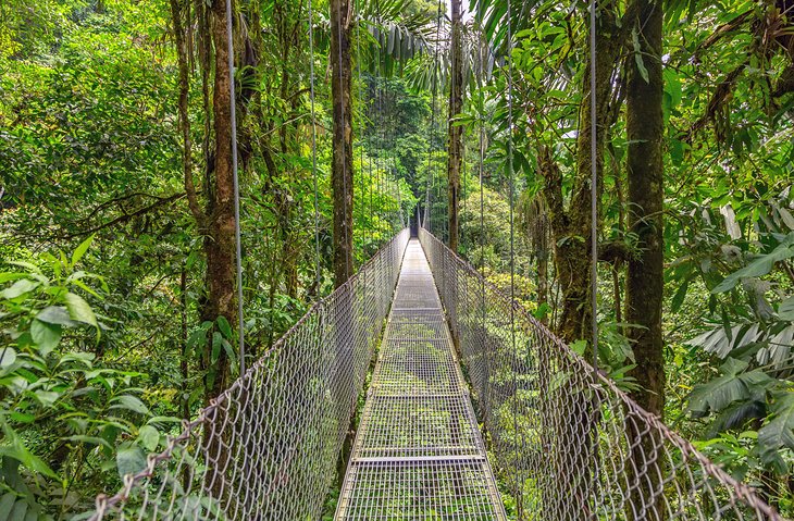 Pont suspendu dans la forêt de nuages ​​de Monteverde